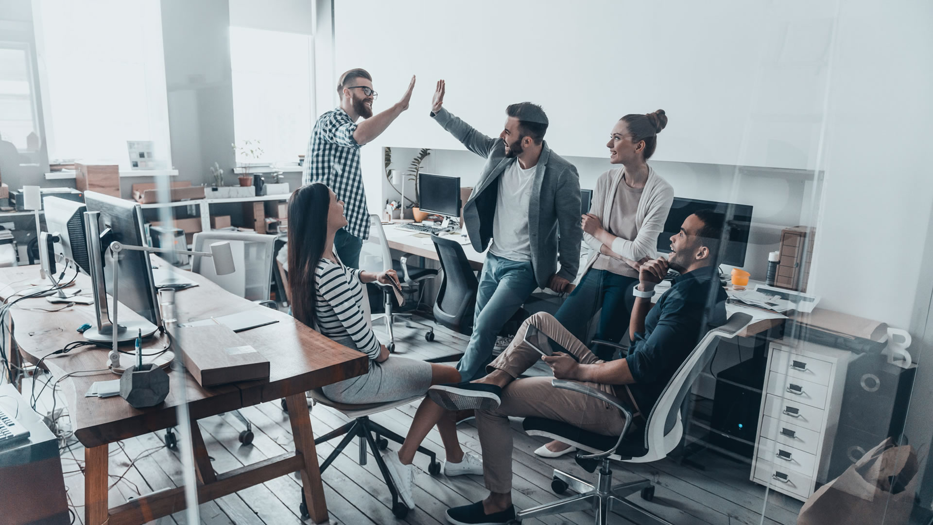 Alternativer Text: AVAIL® and Wefox™