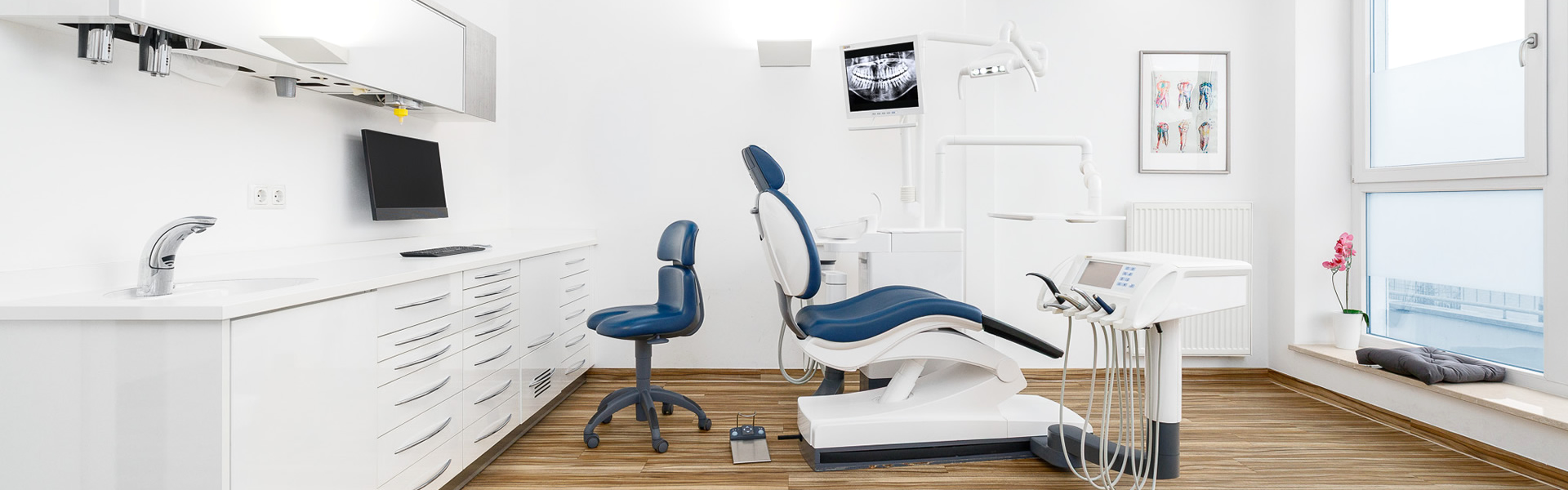 header-slider-image-1